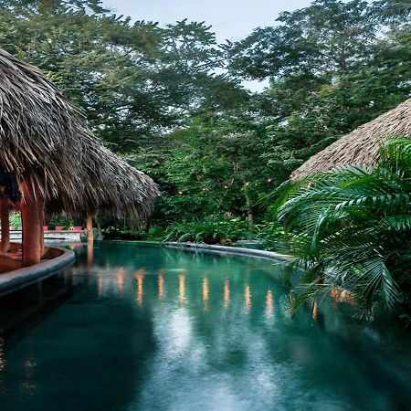 The Space Jungle Oasis San Juan del Sur Eksteriør billede